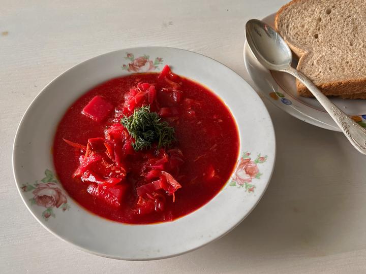 A bowl of red borshch on a neutral background